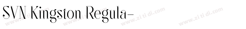 SVN Kingston Regula字体转换